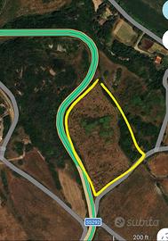 Terreno agricolo Santa Caterina di Pittinuri