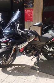 BENELLI TRK 251 2021
