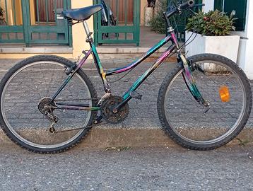 Biciletta mountain bike Numero 26