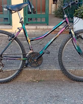 Biciletta mountain bike Numero 26