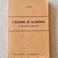 L'esame di algebra - Bignami