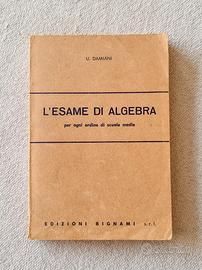 L'esame di algebra - Bignami