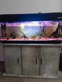acquario completo 