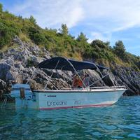 Torpedine selemar 450