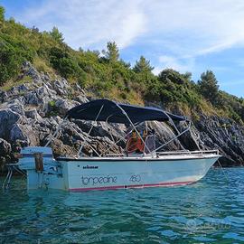 Torpedine selemar 450