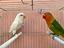 Immagine 1