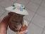 Immagine 4
