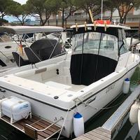 Barca Seaswirl Stripper 2600-Barca Usata
