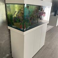 acquario juwel Rio 180