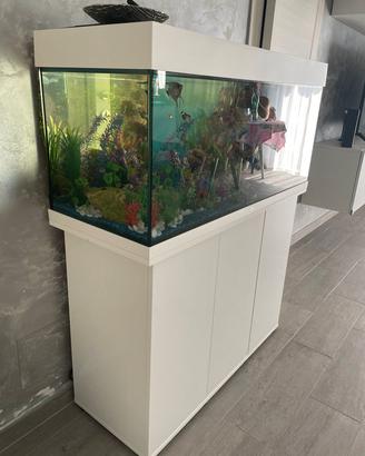 acquario juwel Rio 180