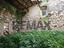 Immagine 20