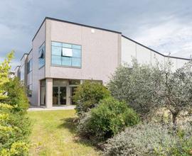Capannone produttivo con area esclusiva
