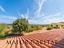 Immagine 23