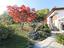 Immagine 29