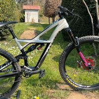 Specialized enduro expert