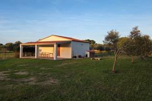 Nuova mutuabile in terreno 8000 mq