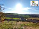 vendita-in-asta-porto-recanati
