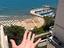 Immagine 5