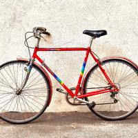 Bottecchia Vintage 70