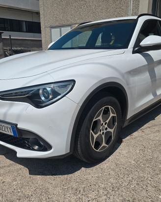 Alfa Romeo Stelvio 2.2 Turbodiesel 160 CV AT8 RWD 