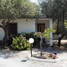 Casette nel verde a 7Km da Scalea