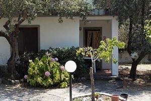 Casette nel verde a 7Km da Scalea