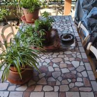Tavolo vintage con piano in palladiana + 6 sedie