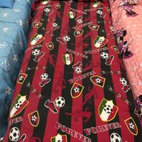 Trapunta invernale del Milan