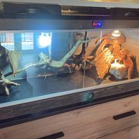 Terrario per pogona in legno rustico