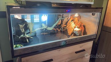 Terrario per pogona in legno rustico