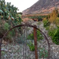 finestre in ferro battuto 