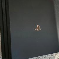 PLAYSTATION 4 PRO