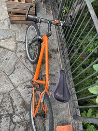 Mountain bike