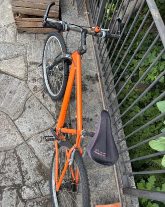 Mountain bike