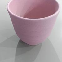 Vaso piante rosa nuovo