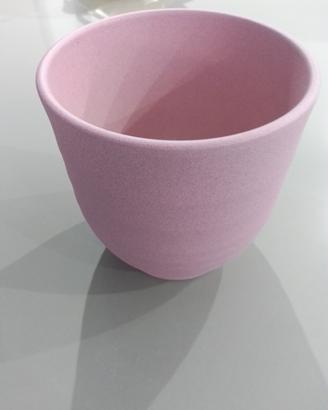 Vaso piante rosa nuovo