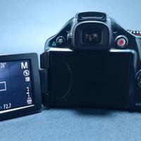 CANON SX40HS 