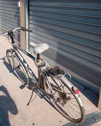 Bicicletta da passeggio