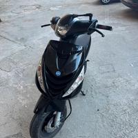 Zip sp 2021 perfetto