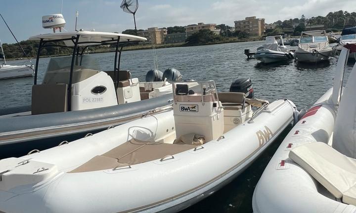 Gommone bwa America 650