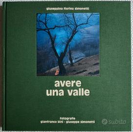 Avere una valle di Gianfranco Bini