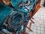 Immagine 1