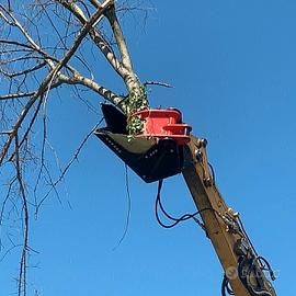 Pinza cesoia per escavatori da 30 a 300 q.li