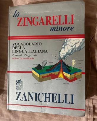 Dizionario italiano Zingarelli minore + lingue