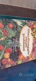 Libro cartonato "Giardinaggio senza problemi "
