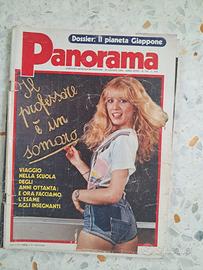 Panorama 1980 Calabria e Mafia -Terrorismo e Stato