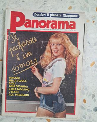 Panorama 1980 Calabria e Mafia -Terrorismo e Stato