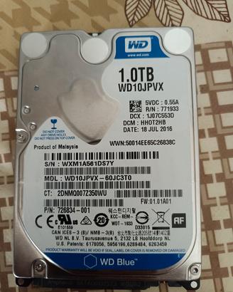 HD 1TB 1000 giga 2.5 pollici sata  western digital