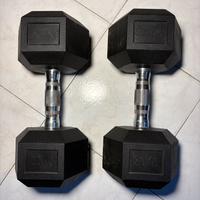Due manubri da 20kg