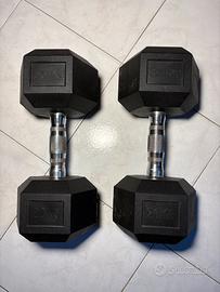 Due manubri da 20kg